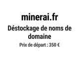 Photo 1/1 du lot