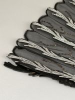 Flammes d'argent, France, vers 1890-1900 (photo 5)