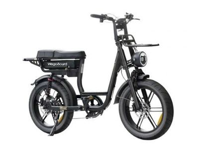 FRAIS REDUIT SUR CE LOT: 14,28% - Vélo électrique - City Pro biplace c