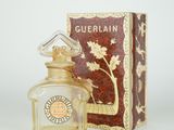 une photo d'un flacon de parfum Guerlain à côté d'un coffret