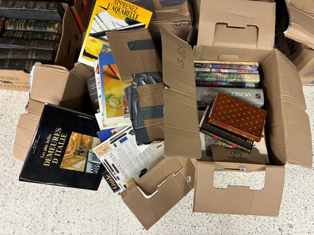 5 cartons de livres dont livres sur la peinture, monographie de p...