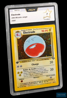 une image d'une carte Pokémon dans un étui en plastique