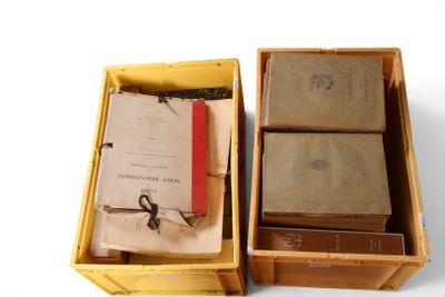 two boxes with books inside of them on a white surface