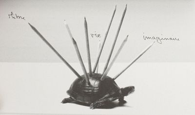 black and white photograph of a turtle with a bunch of sticks sticking out of it ' s shell