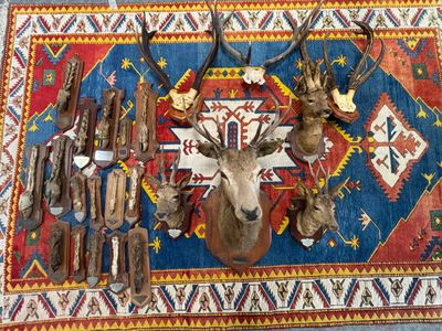 un tapis orné d'une multitude de têtes de cerfs
