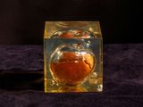 une orange dans un cube en verre transparent posé sur un tissu violet
