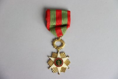 une image représentant une médaille d'or entourée d'un ruban rouge et vert