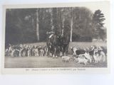 a black and white photo of a man on a horse with a bunch of dogs