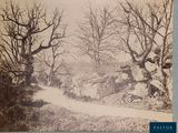 a picture of an old photo of a road in the woods