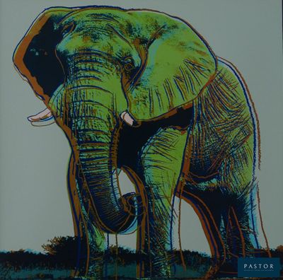une photo d'un éléphant debout dans l'herbe