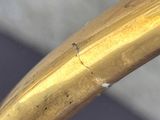 a close up of a baseball bat with a small insect on it
