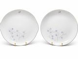 pair of porcelain plates with blue flowers on them on a white surface