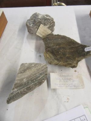 184.49 - LOT ANHYDRITE (SULFATE DE CALCIUM) .