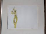 une image représentant une photo d'une fleur jaune dans un cadre blanc