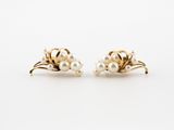a pair of pearl and gold earrings