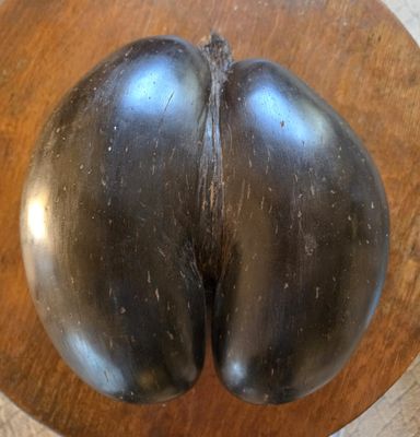 a black eggplant on a wooden plate on a table