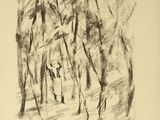 une image représentant un dessin d'un homme à cheval traversant une forêt