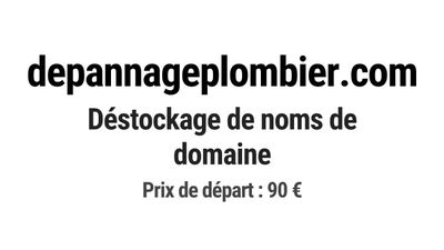 Nom de domaine depannageplombier.
