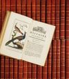 BUFFON (Georges Louis Leclerc, comte de). Histoire naturelle. Ber