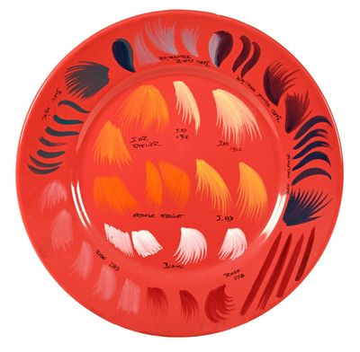 une image représentant une assiette rouge sur laquelle sont disposés différents types de plumes