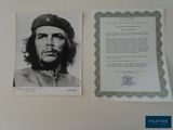 signed photograph of che gu portrait and letter signed by che gu