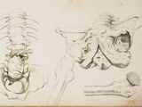 an old drawing of a human skeleton and a human skeleton
