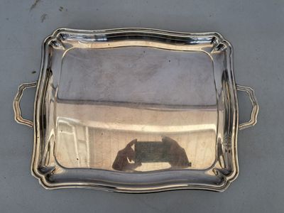 un plateau en argent sur lequel se reflète un chat