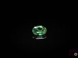 des tourmalines vertes sur fond noir