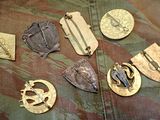 many different types of military badges on a camouflage cloth