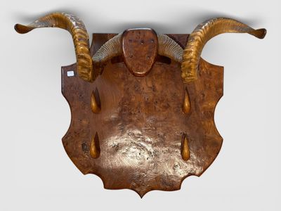 PORTE FUSIL en bois de loupe orné de deux cornes naturelles.