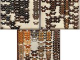 three different pictures of butterflies arranged in a wooden frame