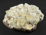 a close up of a cluster of white crystals on a black surface