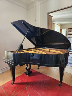 un piano à queue au milieu du salon