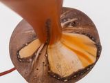 a close up of a lamp that has a butterfly on it