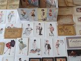 a lot of cards that are on a table