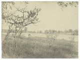 an image of a drawing of a field with trees in the background