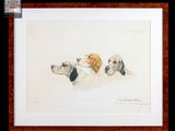 trois chiens sont assis sur une table devant un fond blanc