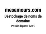 Photo 1/1 du lot