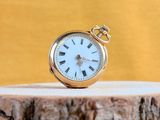 a gold pocket watch sitting on top of a tree stump