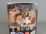 a cat that is standing in front of a box