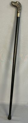 an image of a walking stick with a handle on a white background