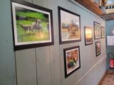 many pictures hanging on the wall in this room