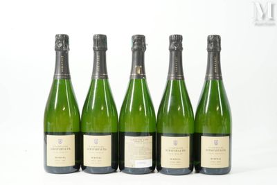 quatre bouteilles de vin sont alignées sur une surface blanche