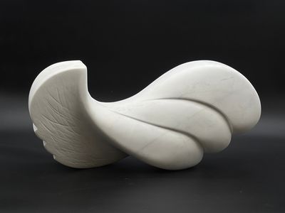 a white sculpture of a shell on a black surface