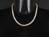 un collier de perles sur un mannequin, un mannequin, un mannequin, un mannequin, un mannequin, un mannequin, un mannequin, un mannequin, un mannequin