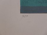 a picture of a painting on a wall with a blue and green background