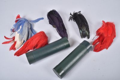 quatre couleurs différentes de plumes sur un fond blanc