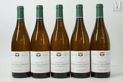 six bouteilles de vin sont alignées sur une surface blanche