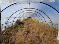 Lot de 3 tunnels en tubes galvanisés (55m x 6m chaque) dont … (photo 3)