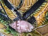 a picture of a decorative plate with a shell on it